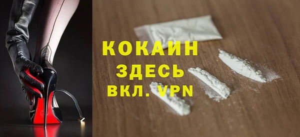 индика Баксан