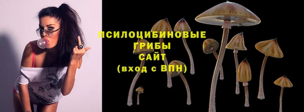 дмт Балабаново