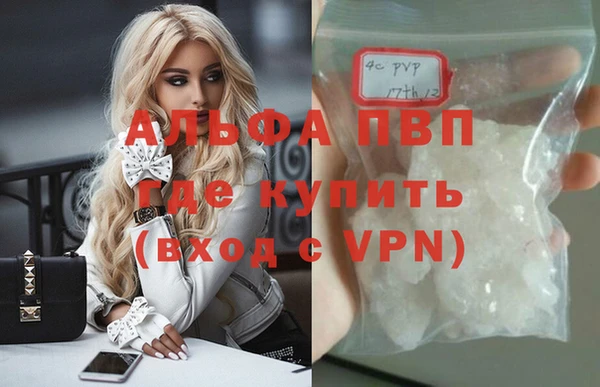 индика Баксан
