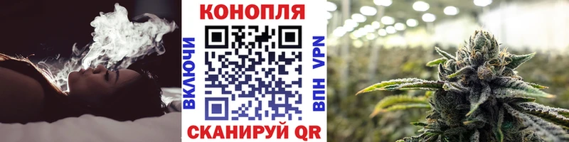 Конопля OG Kush  продажа наркотиков  Торжок 